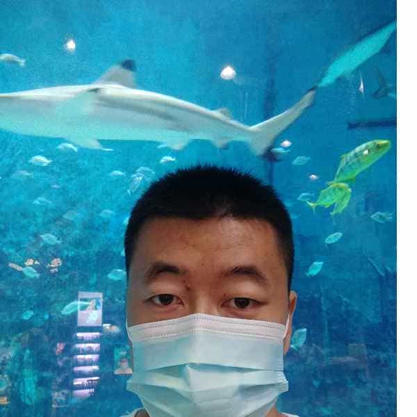 河北34岁单身帅哥真诚找对象-德州征婚相亲网