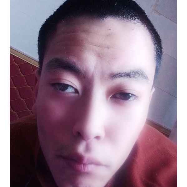 宁夏25岁单身帅哥真诚找对象-德州征婚相亲网